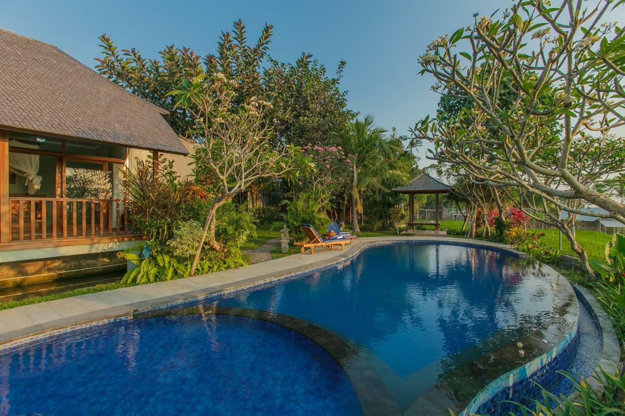 D'carik Bali Denpasar