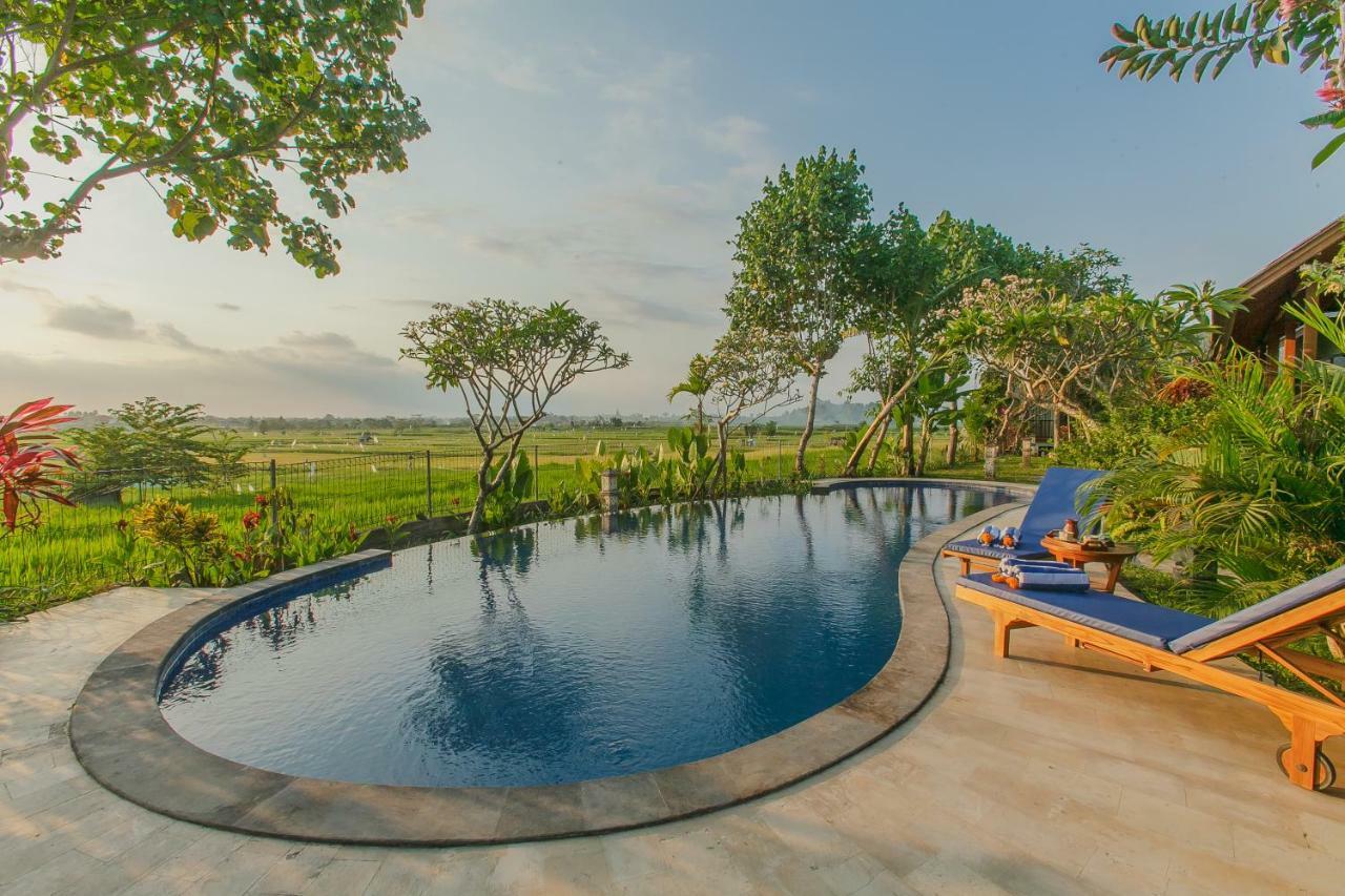 D'carik Bali * Denpasar